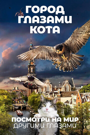 Город глазами кота (2018)